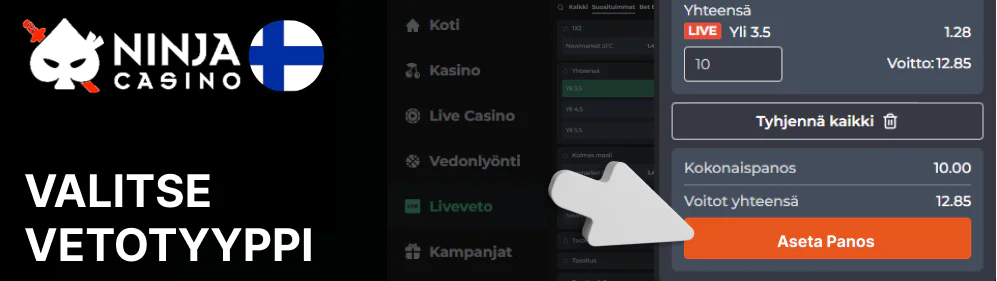 Tarkista kaikki kahdesti ja paina Aseta panos Ninja Casino