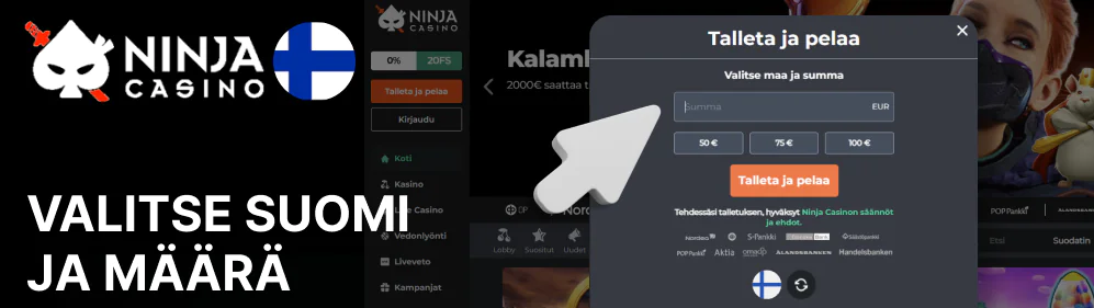 Valitse maksuväline Ninja Casino